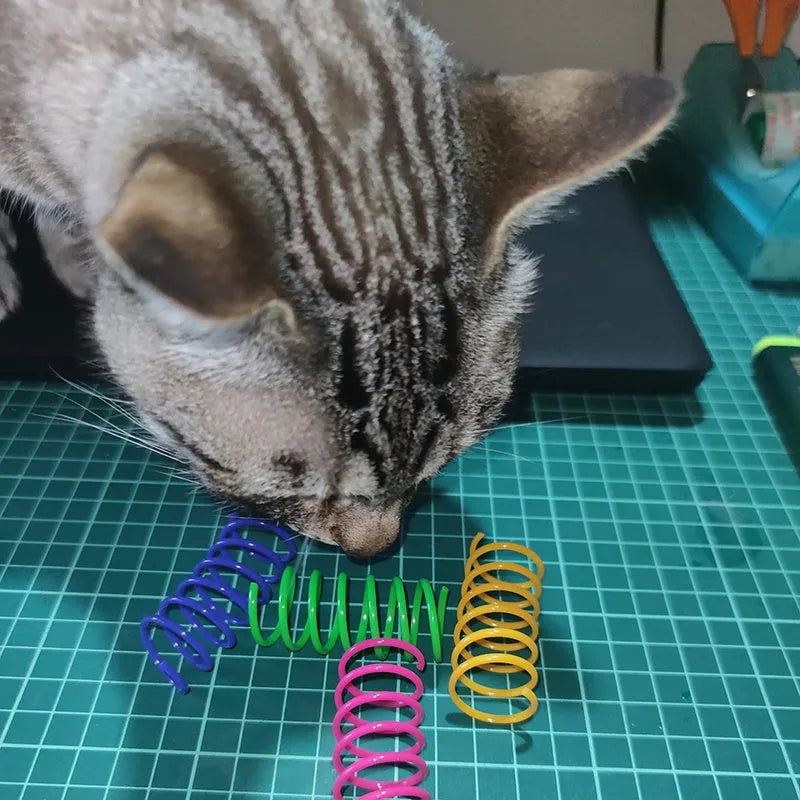 Colourful plastic coil spring cat toys in mixed colours for kittens and adult cats