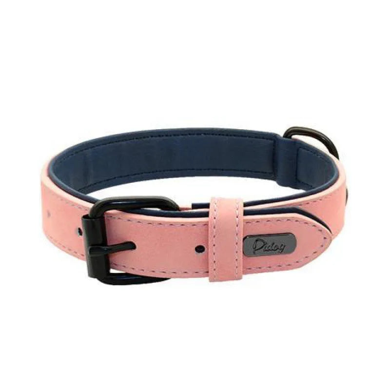Adjustable anti-loss dog collar showing double-layer thickening construction in multiple colour options