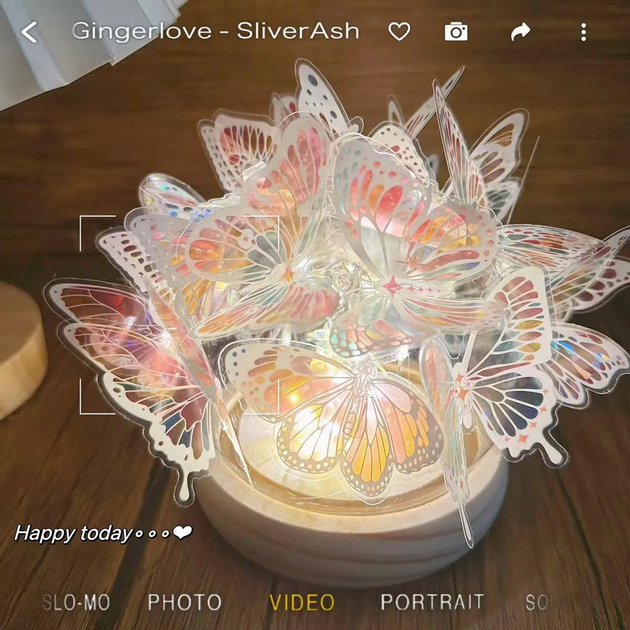 Handmade butterfly night lamp with glass shade on raw wood base, 12cm by 15cm.
