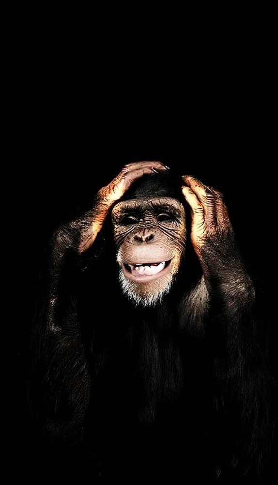 Abstract monkey spray painting on frameless canvas wall art modern decoration