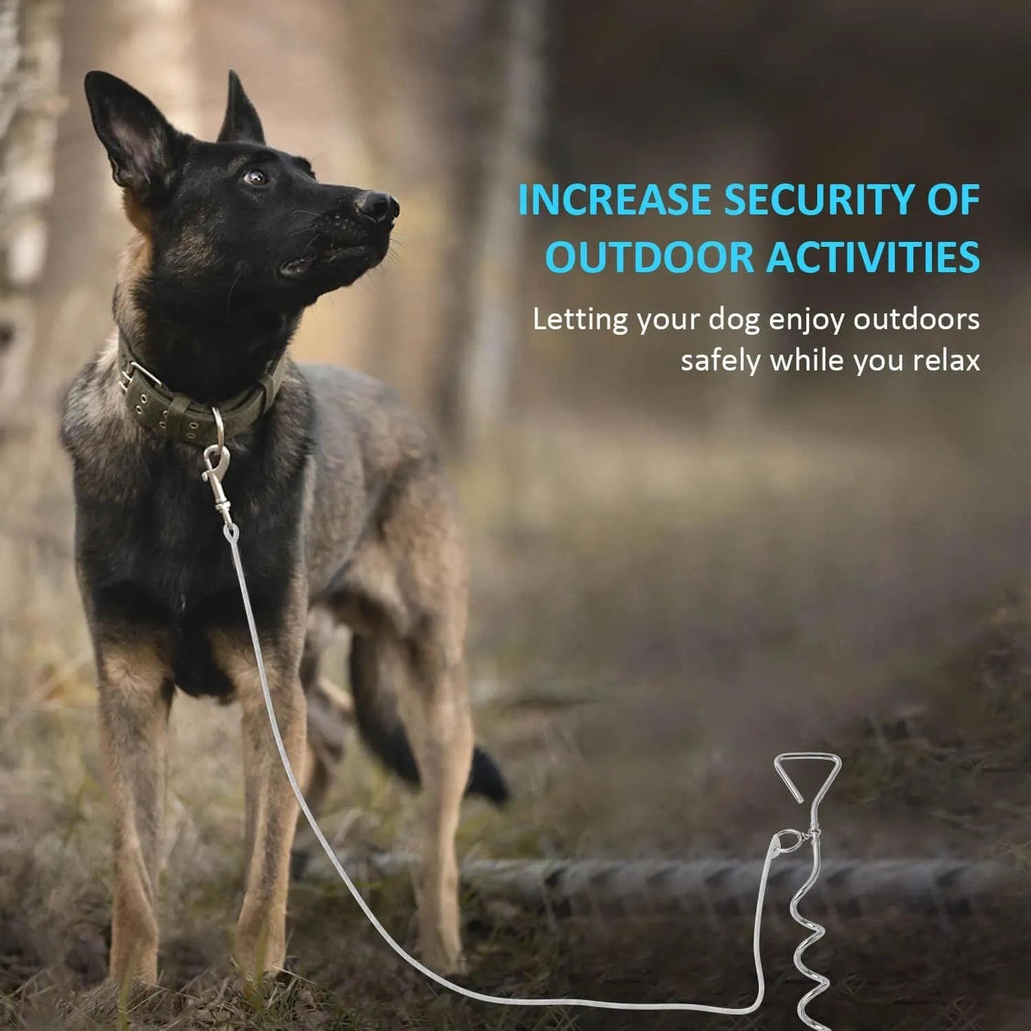 Silver spiral screw dog tie out stake for secure outdoor tethering on grass