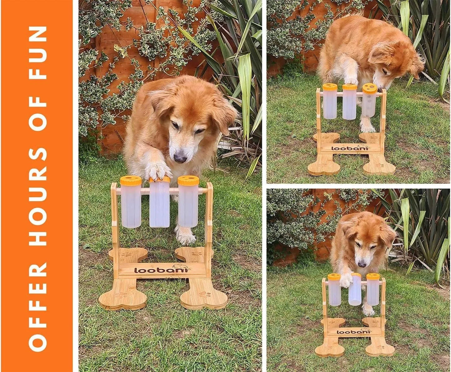 Wooden dog puzzle toy interactive feeder measuring 31x30x20cm for mental stimulation