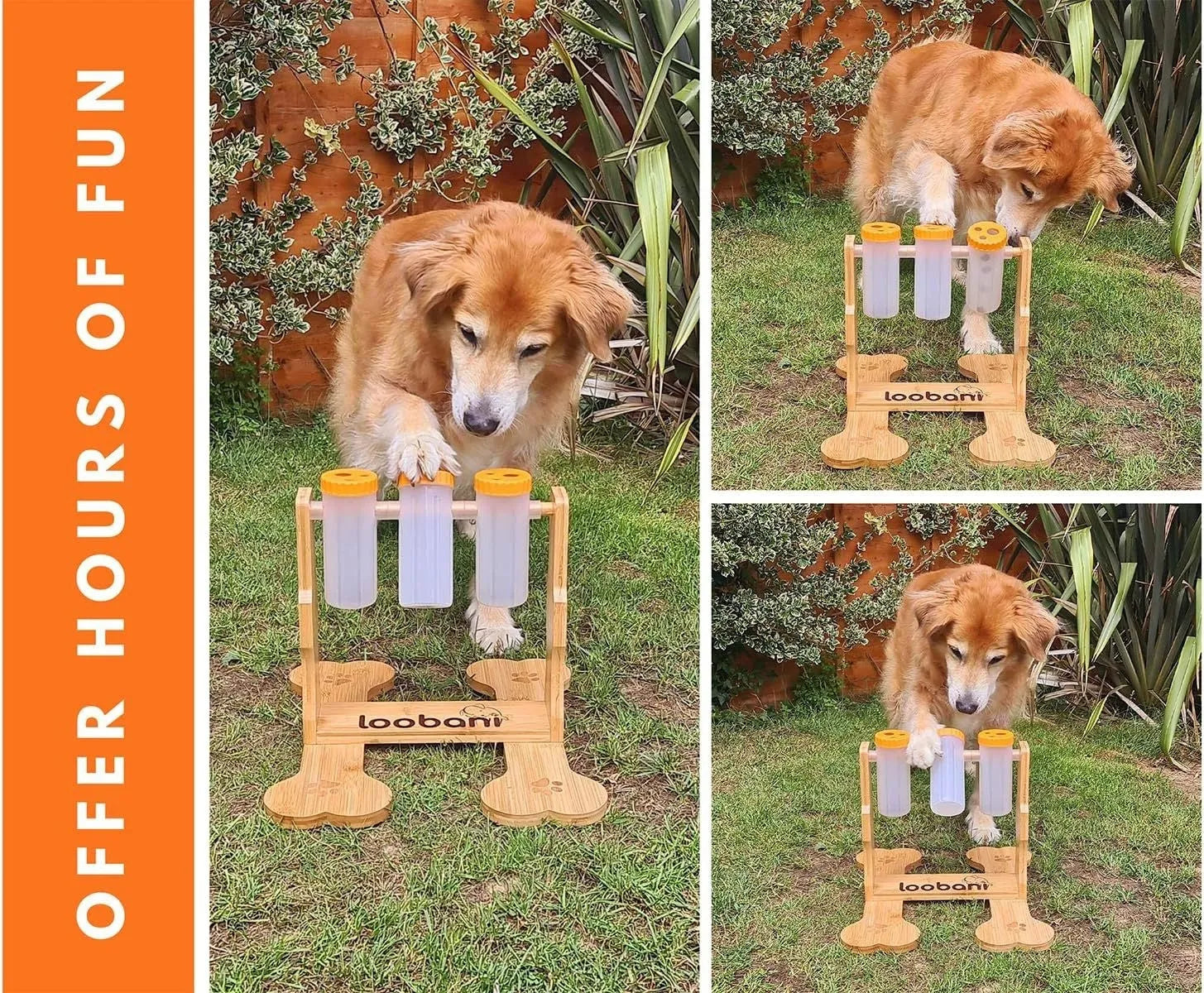 Wooden dog puzzle toy interactive feeder measuring 31x30x20cm for mental stimulation