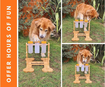 Wooden dog puzzle toy interactive feeder measuring 31x30x20cm for mental stimulation