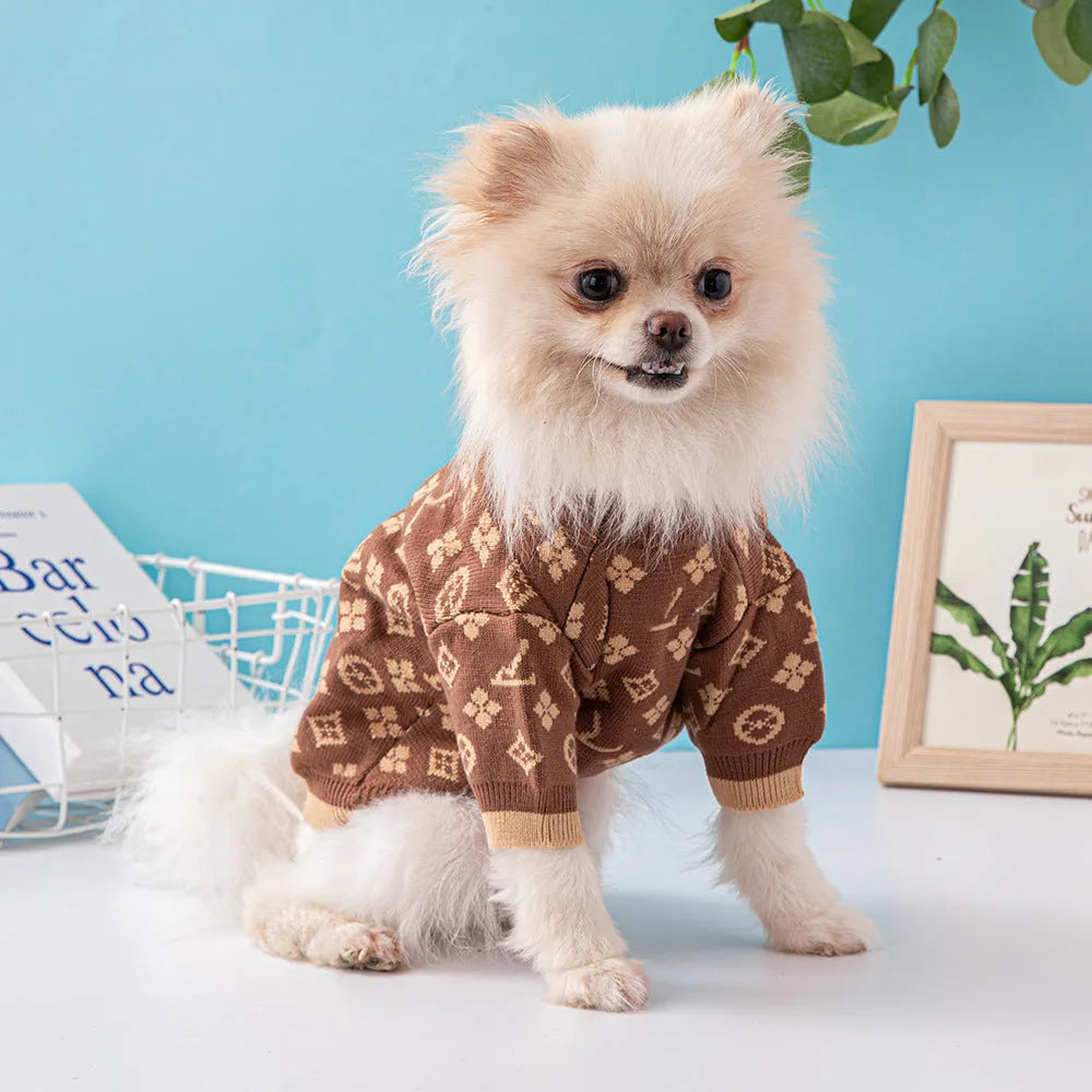 Thick wool dog sweater in monochrome colour on medium-sized dog during autumn