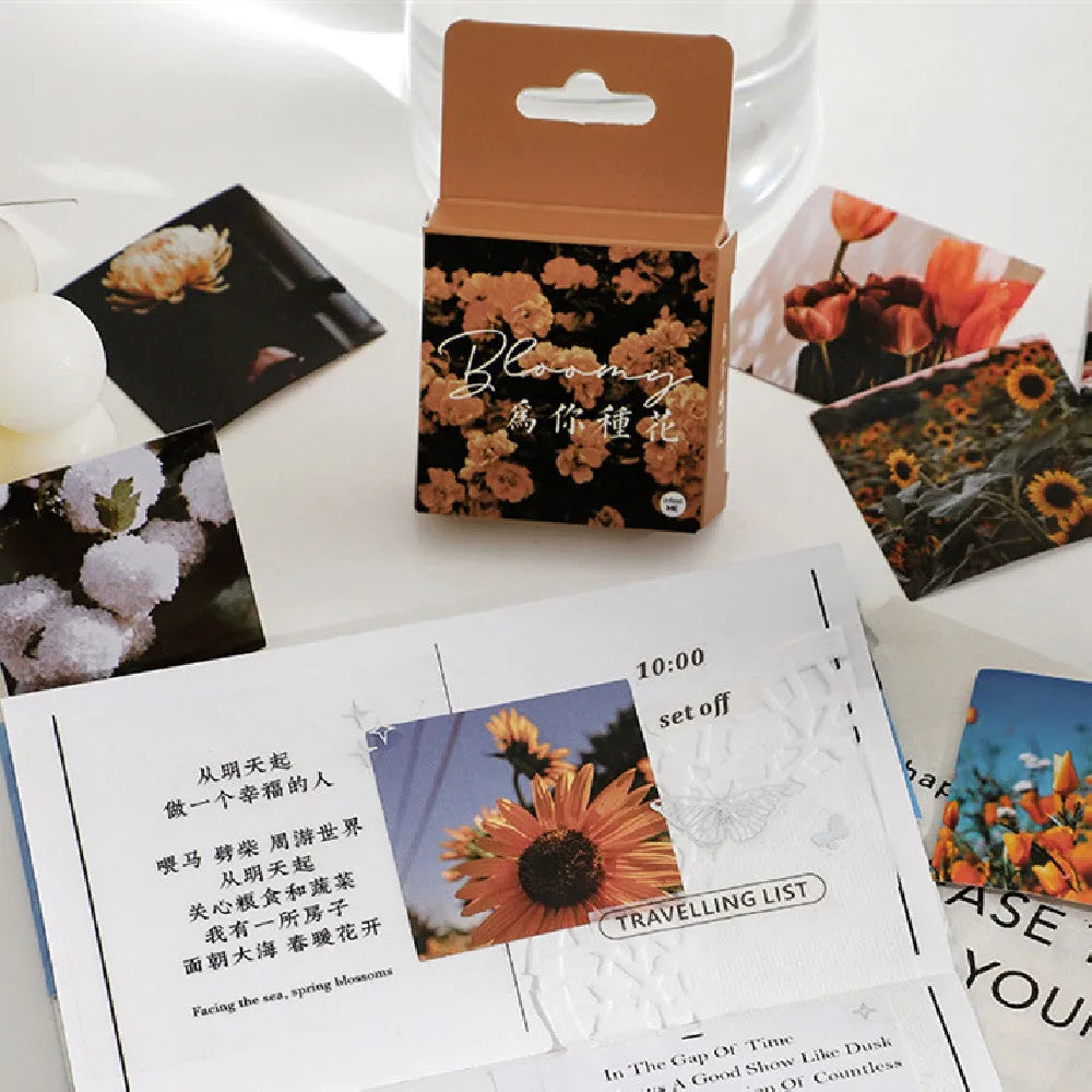 Box of 46 square decorative stickers with Nordic mountain, sea, and floral designs, each 44mm wide.