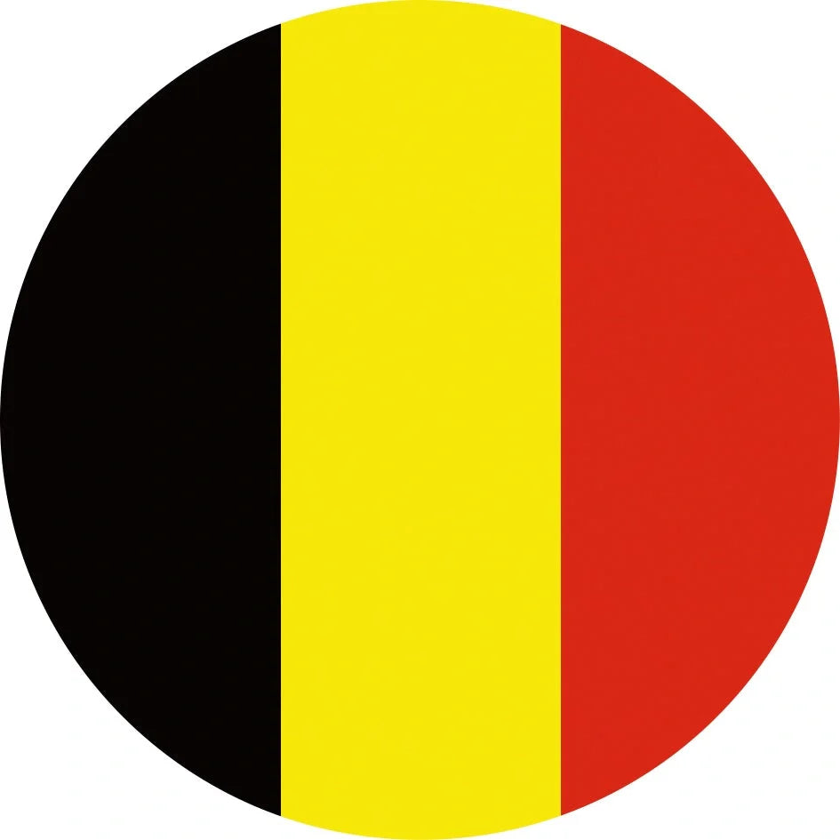 World Cup Qatar football themed biodegradable dishwashing sponges with national flag designs