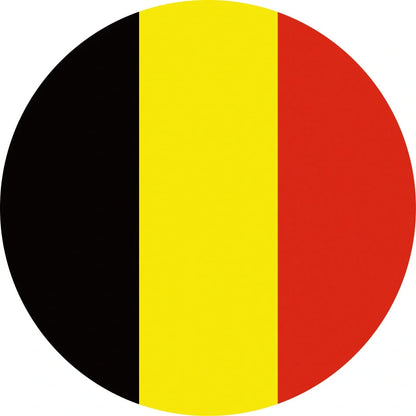 World Cup Qatar football themed biodegradable dishwashing sponges with national flag designs