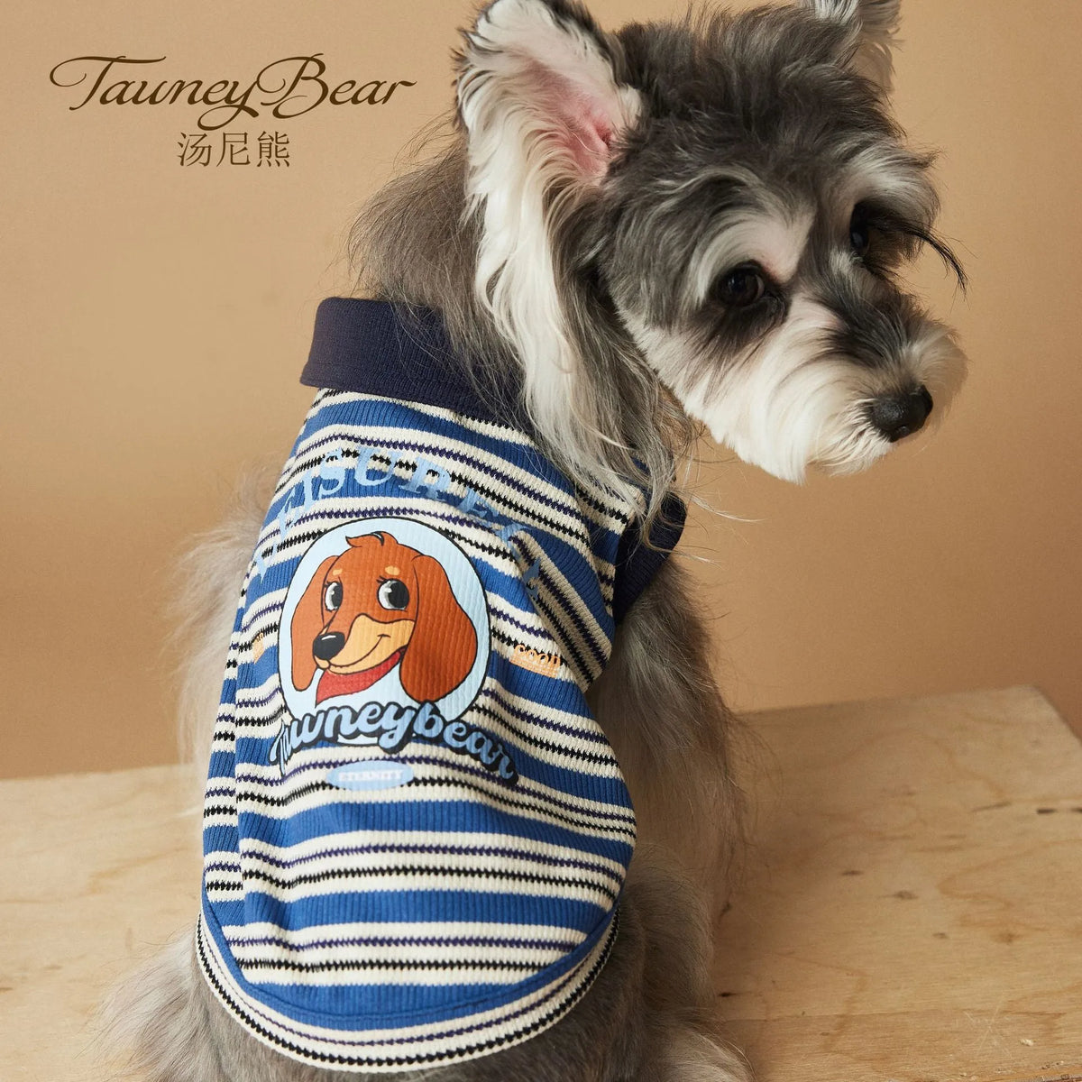 Tony Bear dog striped polo shirt in cotton, blue or brown, sizes XS to XXL, casual pet clothing