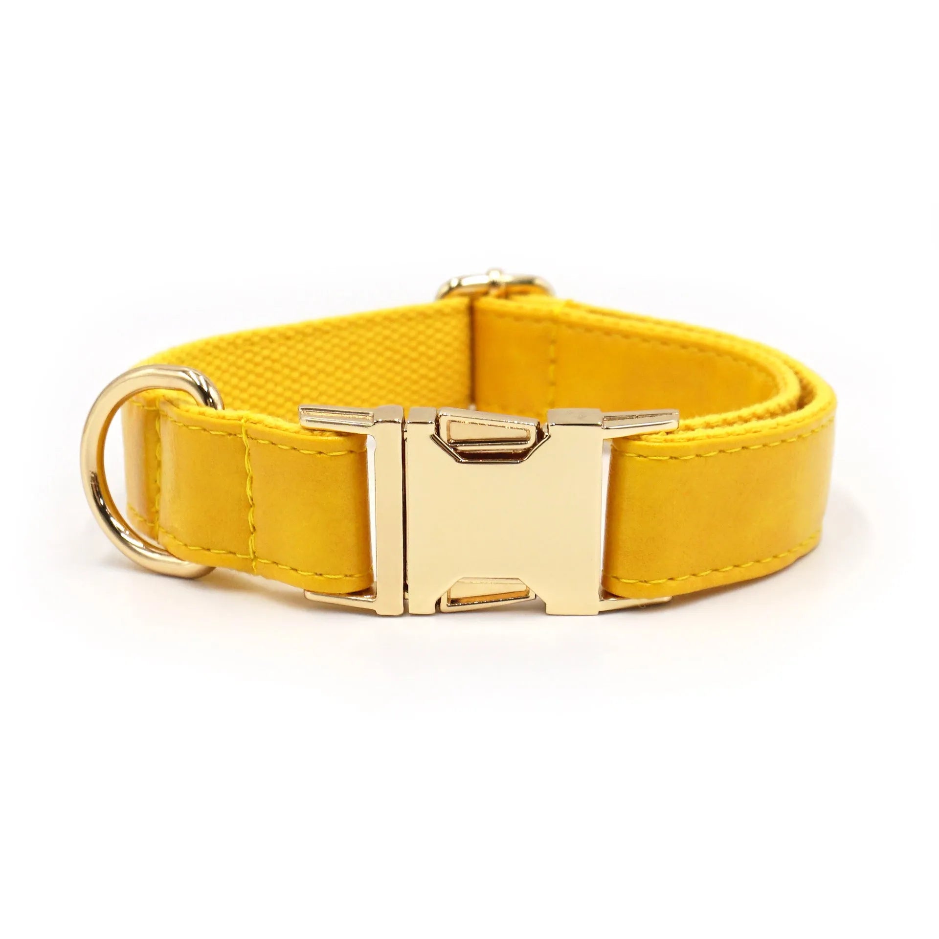 Velvet leather dog collar with colour block design showing buckle fastening in available colour options