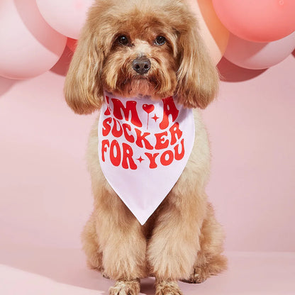 Pet dog letters pattern scarf and saliva towel in black pink red or multicolour, sizes S M L, polyester fabric