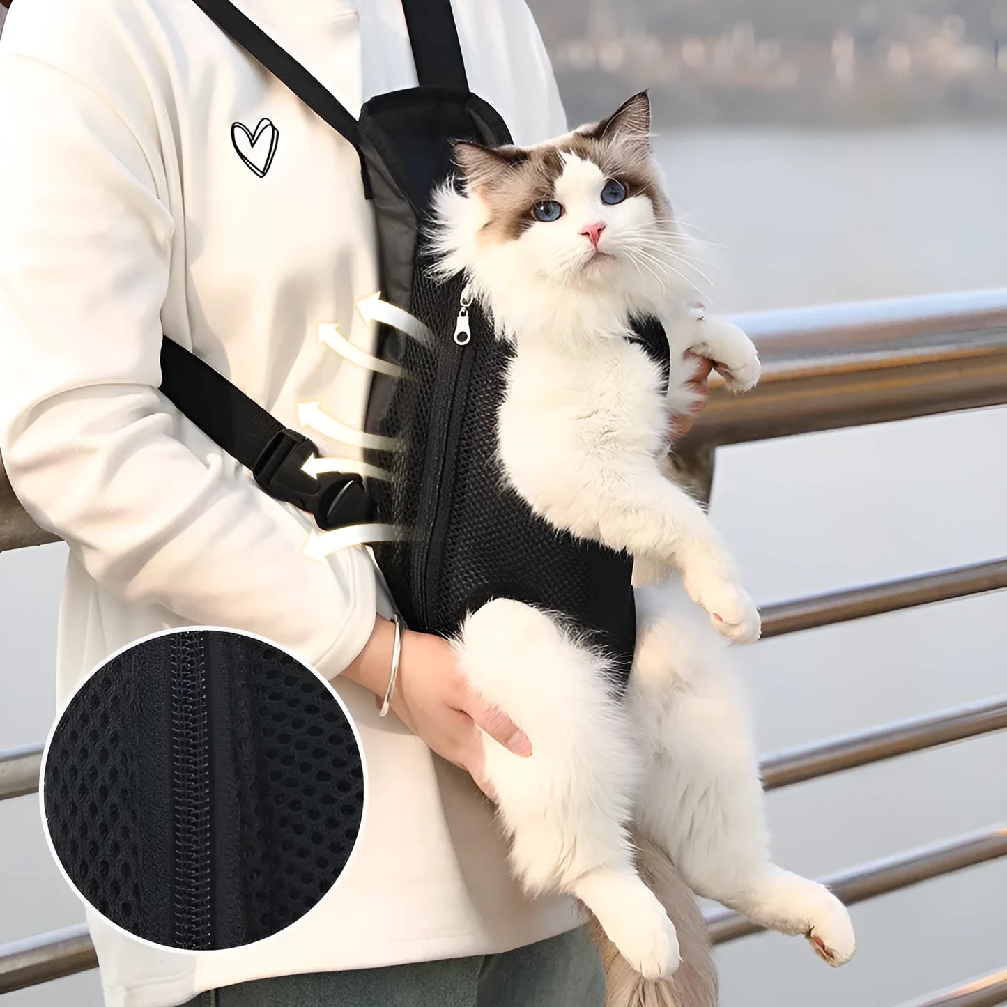 A small dog in a front-worn nylon carrier backpack with mesh panels, adjustable straps and side zips.
