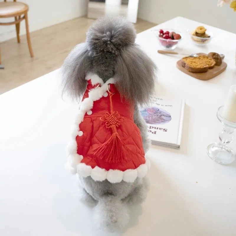 Red Chinese-style dog jacket with a white faux fur collar on a pet mannequin
