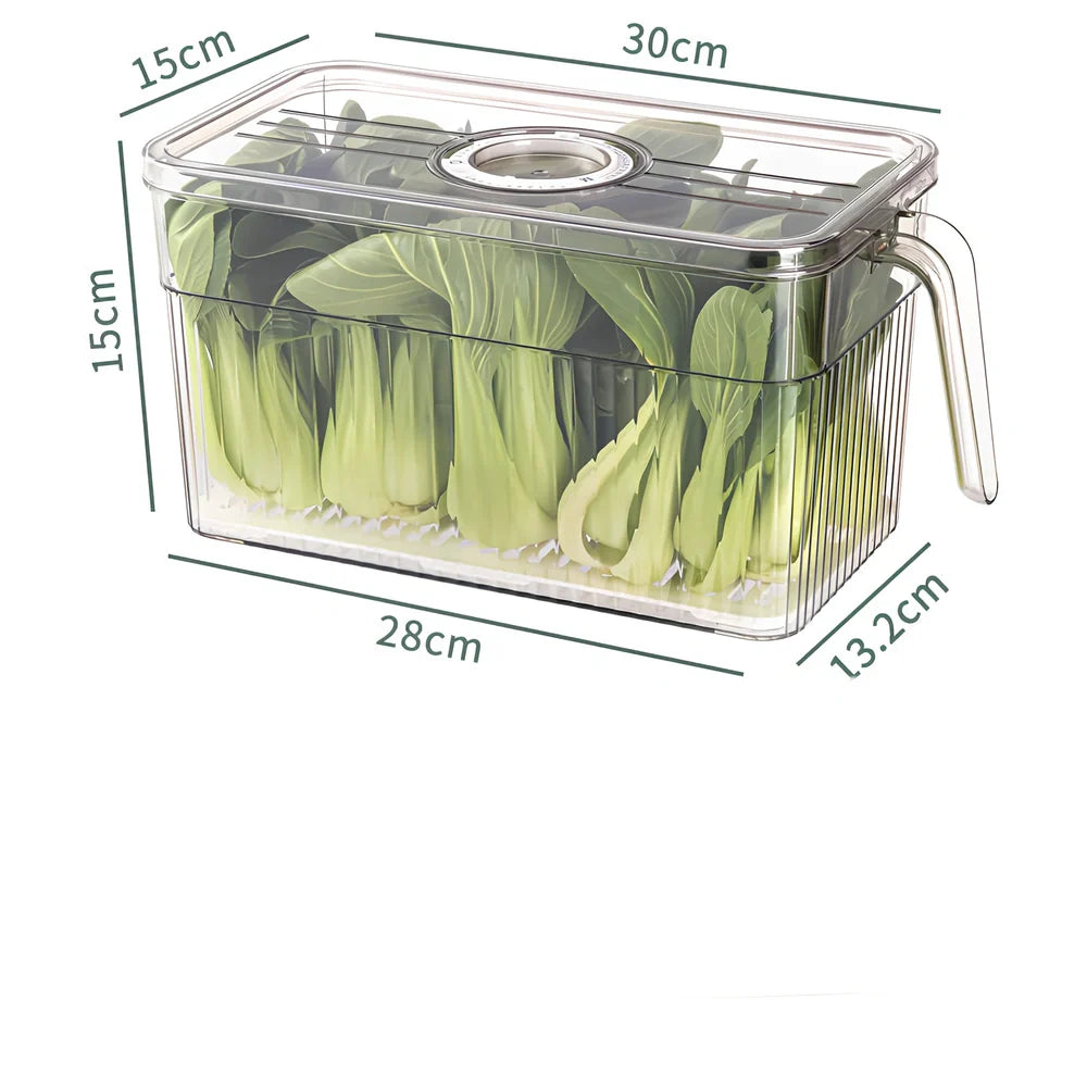 Green plastic food storage box with airtight lid for refrigerator organisation