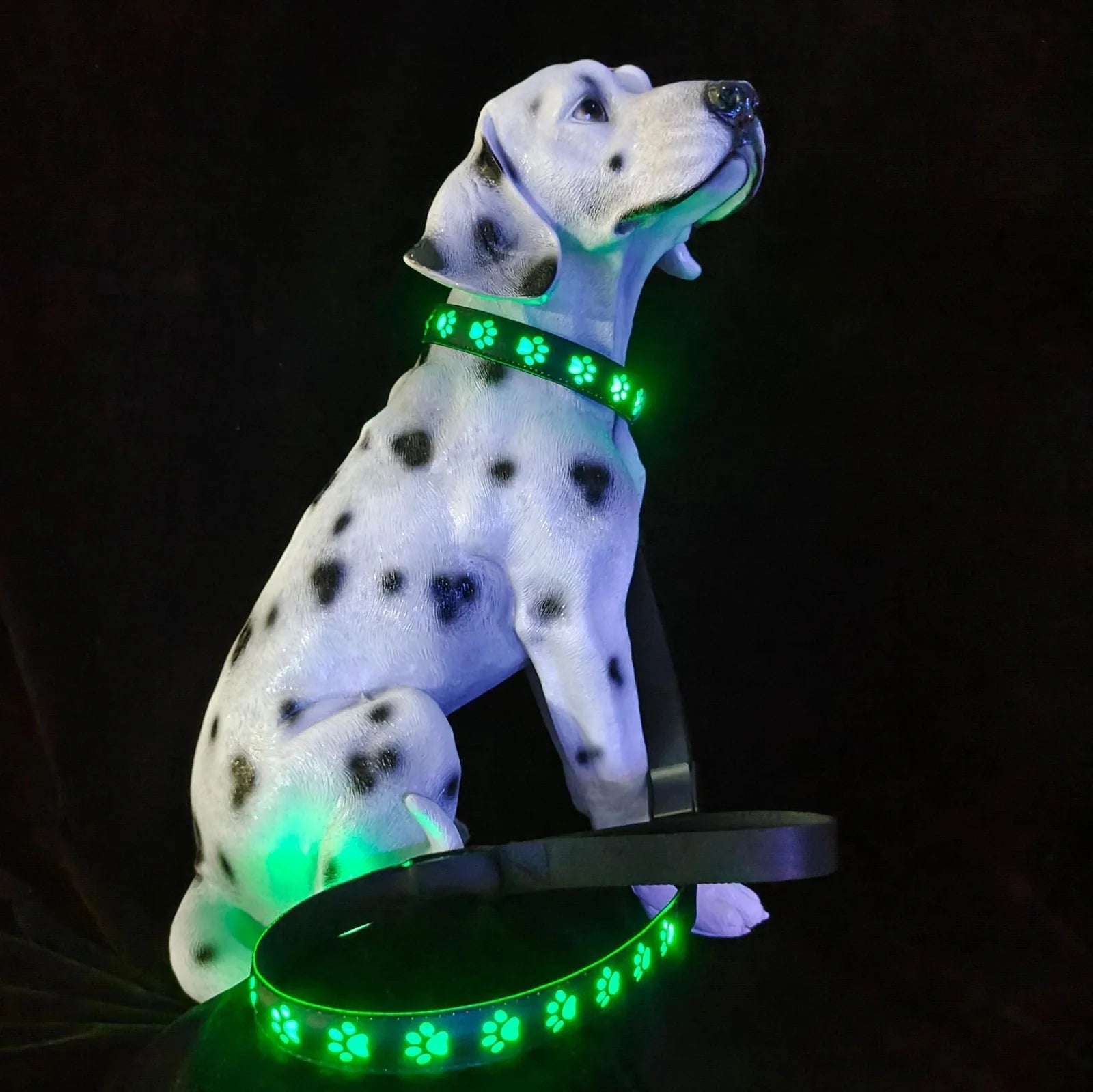 Black LED dog collar showing seven coloured lights with USB charging port visible