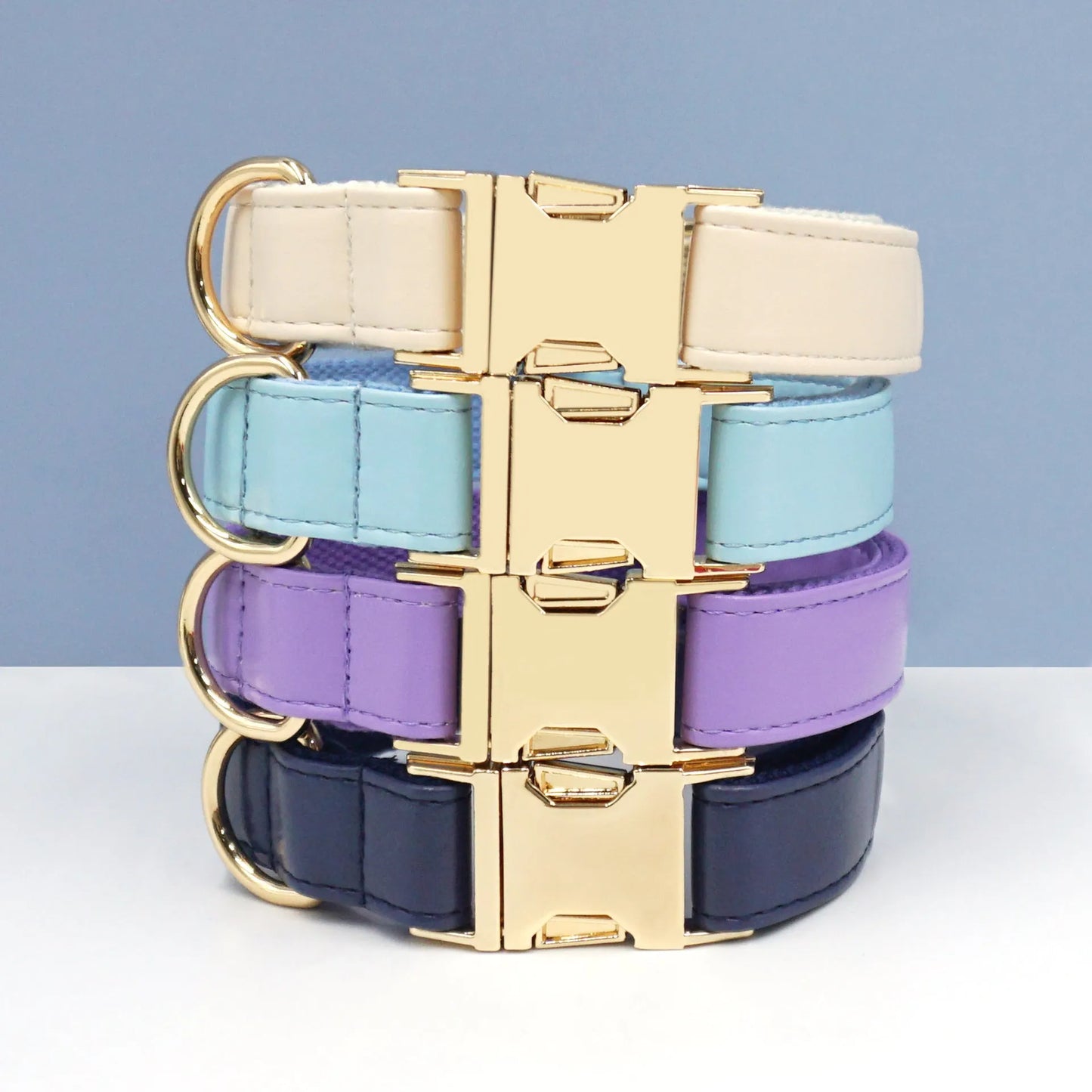 Velvet leather dog collar with colour block design showing buckle fastening in available colour options