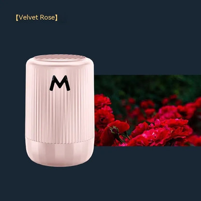 Solid car aromatherapy fragrance diffuser in compact 10 x 6 cm size for vehicle and indoor use