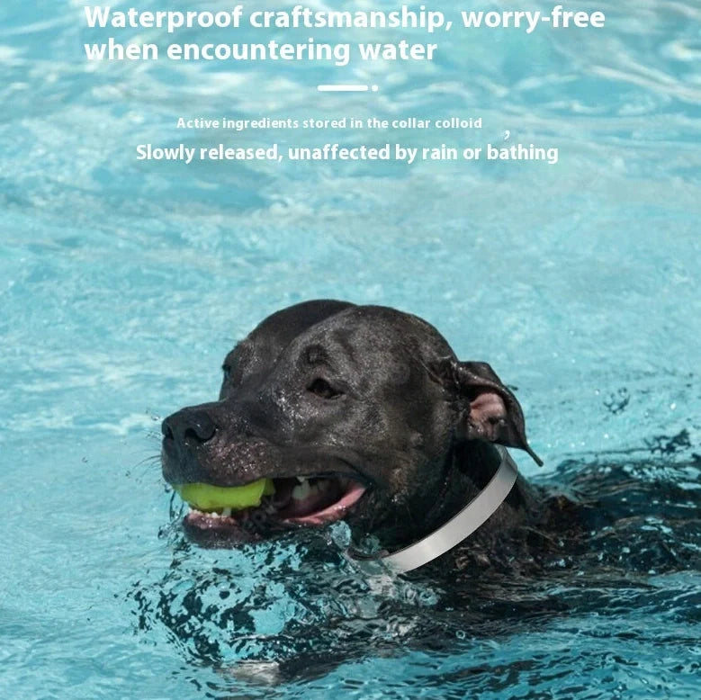 Four 62cm dog anxiety collars with monochrome patterns and TPR material in Chinese style designs