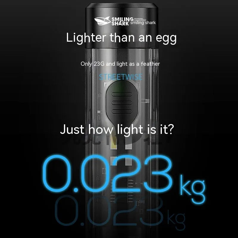 Black plastic USB rechargeable LED flashlight with compact portable design