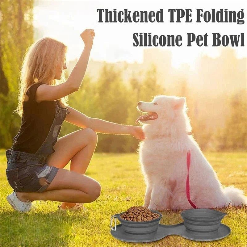 Spill-Proof Foldable Double Pet Bowls with Non-Skid Silicone Base for Food and Water