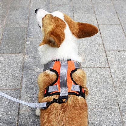 Polyester dog vest harness with hand-holding rope attachment in multiple colour options