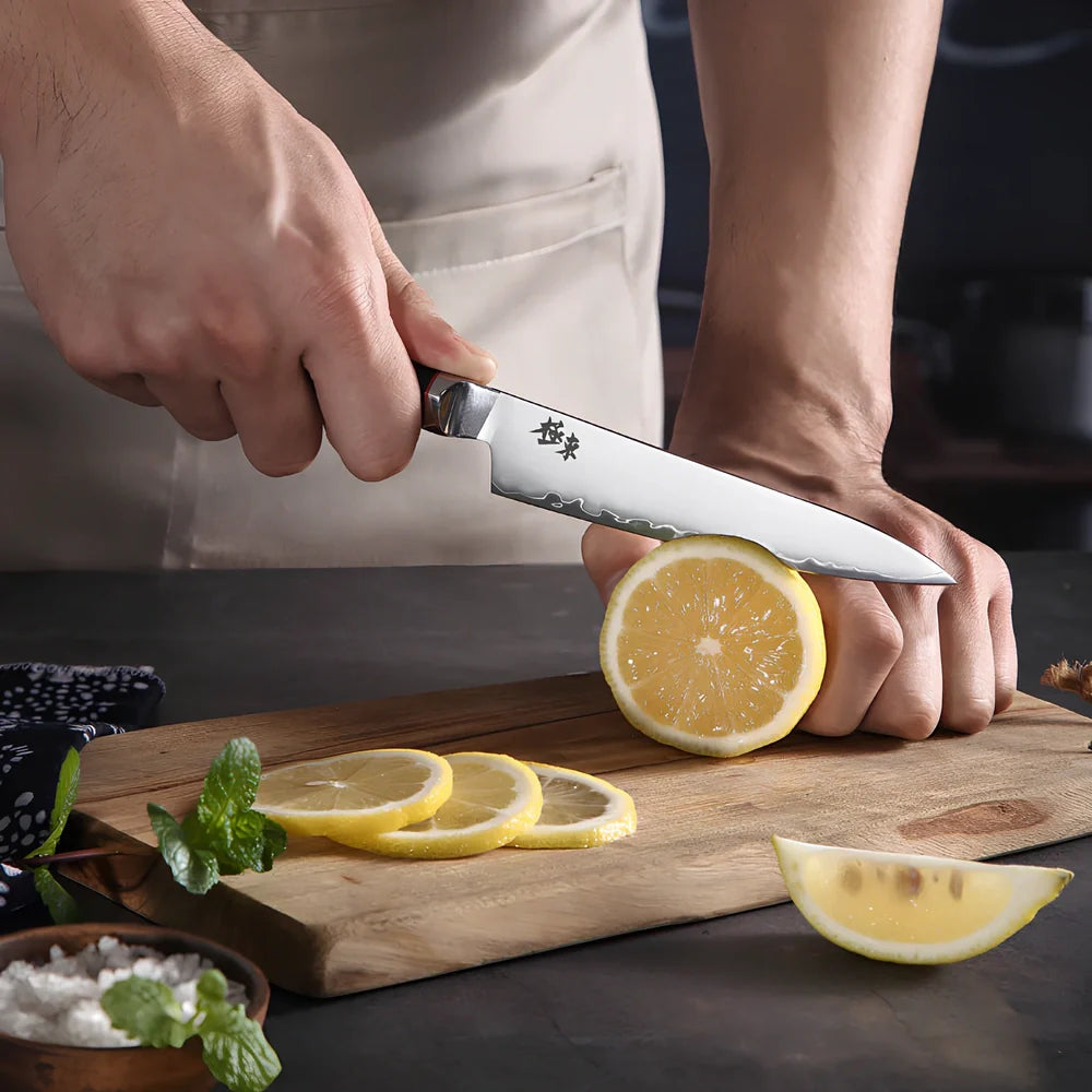 Sanhe Steel kitchen knife set with AUS-10 stainless steel blades in various sizes from 4 to 8 inches