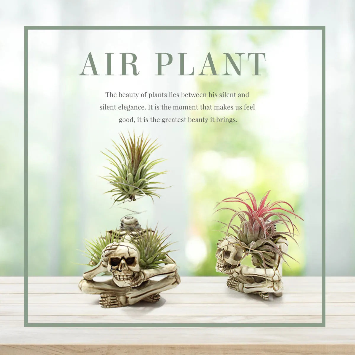 Resin skull bracket holder for air plants with iron wall mounting hook