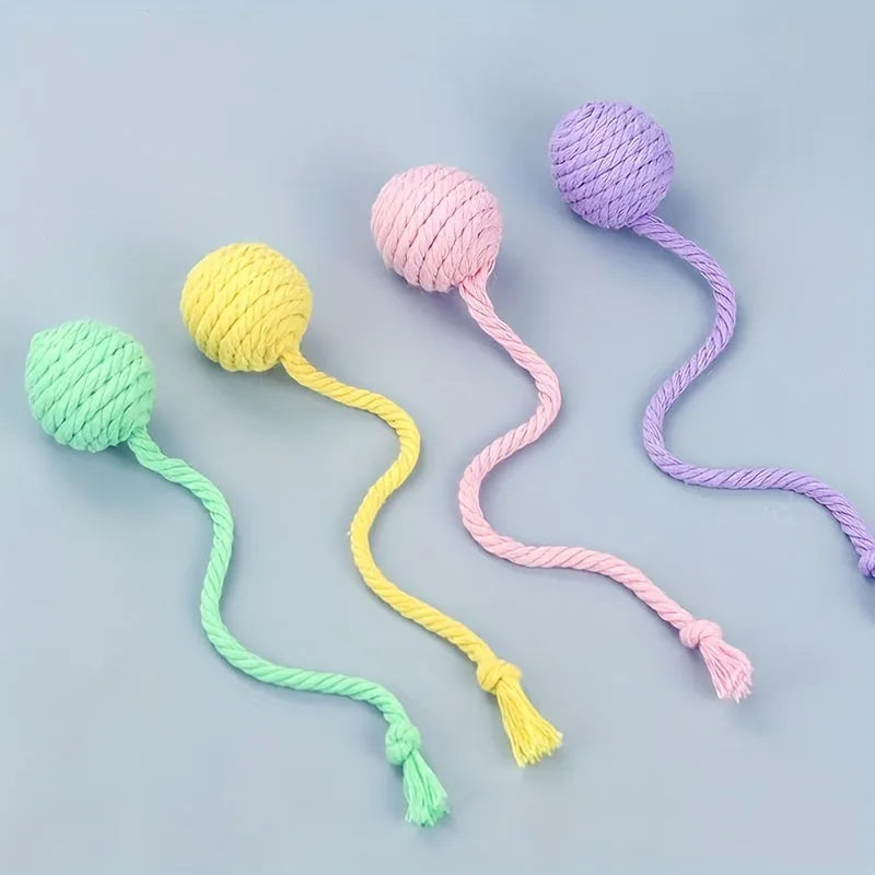 Interactive cat toy ball with bell and rope in green, pink, purple or yellow colours, shown in 3cm and 6cm sizes