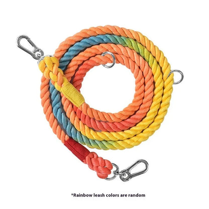Woven rainbow pattern dog leash with double grip handles and a metal clasp.