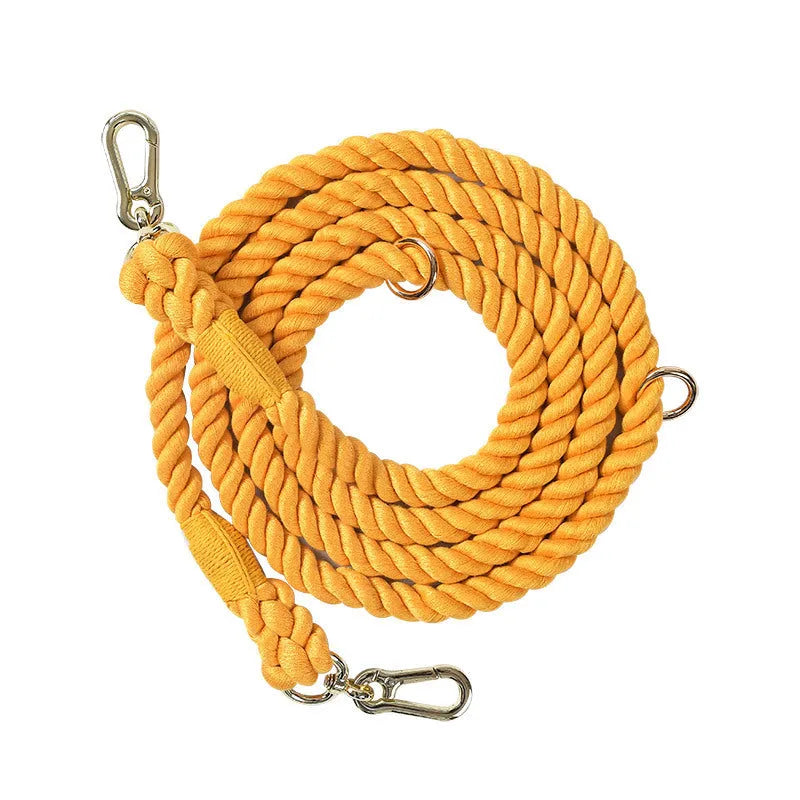 Woven rainbow pattern dog leash with double grip handles and a metal clasp.