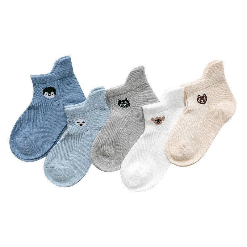 Premium cotton baby socks in various vibrant colors and sizes for boys and girls