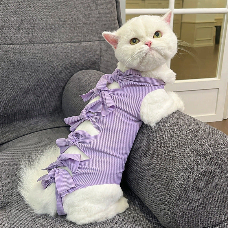 Lace-up cat sterilisation clothing in blue colour on cat showing adjustable back fastening and full-body coverage