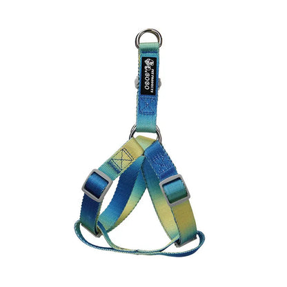Gradient colour nylon dog leash showing pink-blue colour transition with metal attachment clip