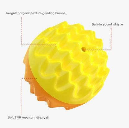 Blue and orange durable rubber squeaky dog ball with spiky texture for teeth cleaning