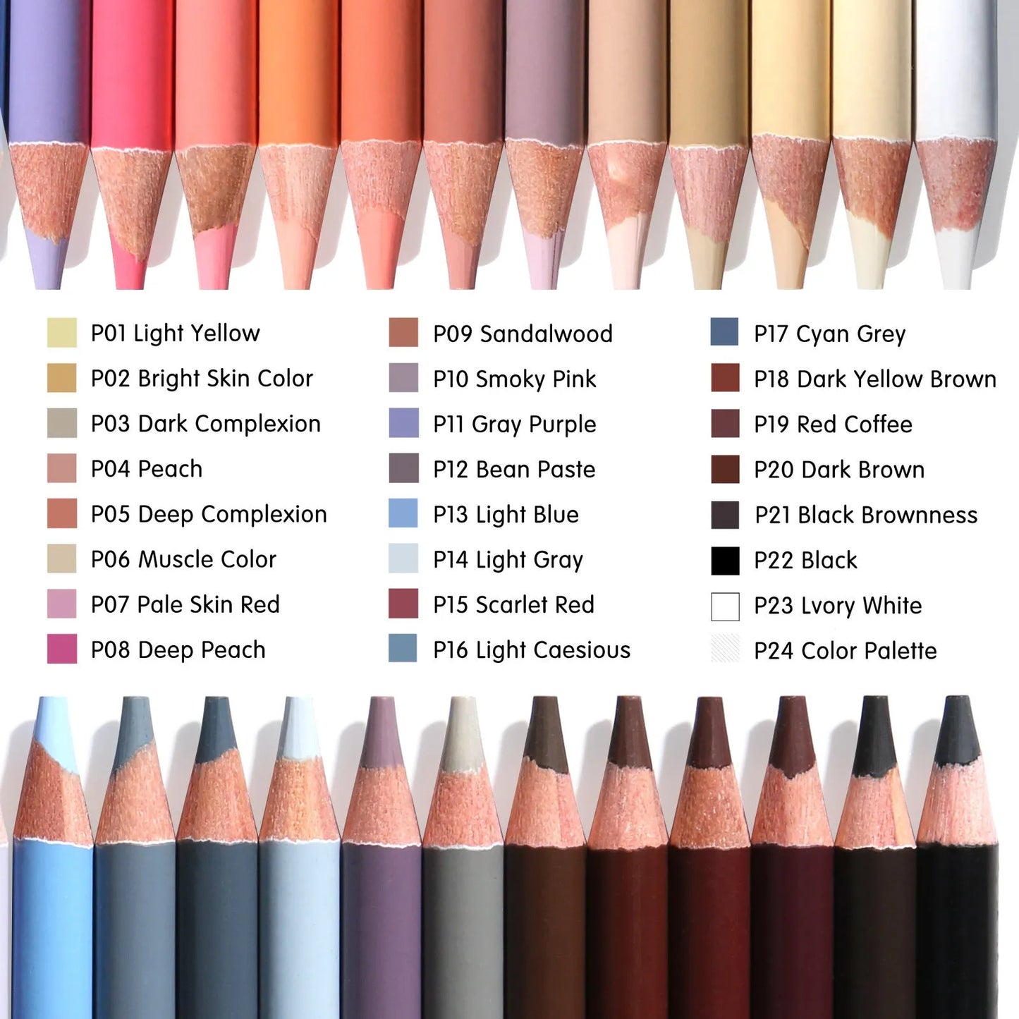 Set of 24 skin tone colour art pencils and HB refills in a round iron box brush pot.