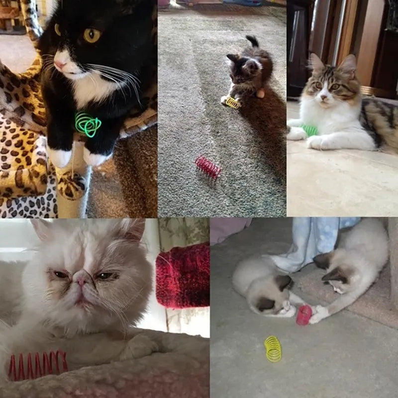 Colourful plastic coil spring cat toys in mixed colours for kittens and adult cats