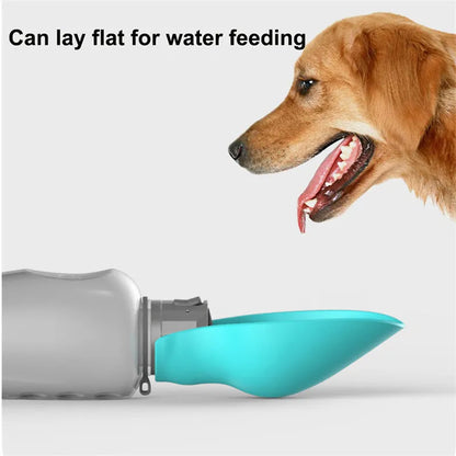 Blue grey portable dog water bottle with foldable drinking bowl and wrist strap, shown next to a dog.