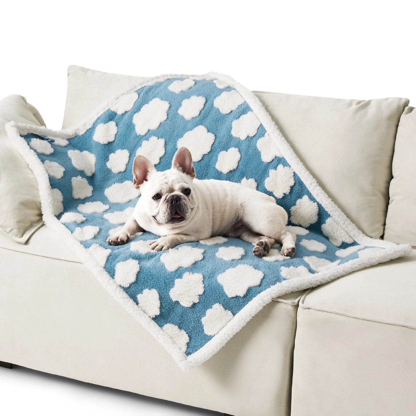 Blue and white patterned waterproof dog blanket on furniture showing cloth texture
