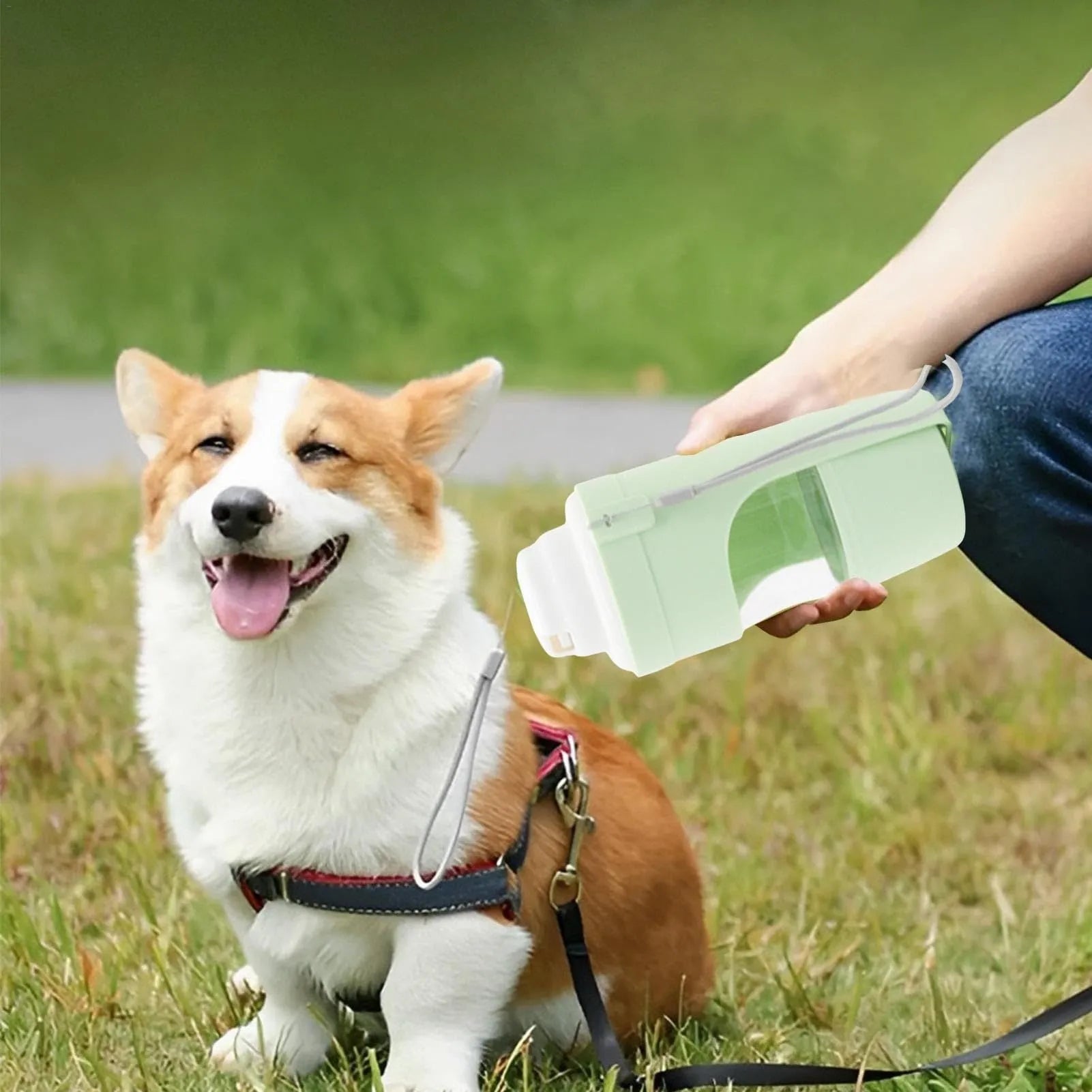 Grey 2-in-1 travel dog water bottle with lanyard showing folding design and 690ml capacity