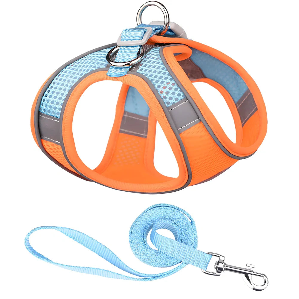 Fleece-lined dog harness with reflective strips and 150cm lead in navy blue colour