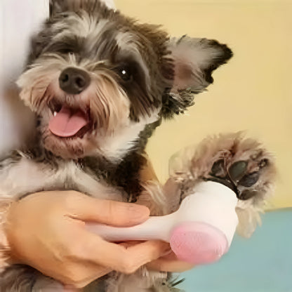 Blue and pink nylon bristle pet paw brush for dogs and cats on a white background.