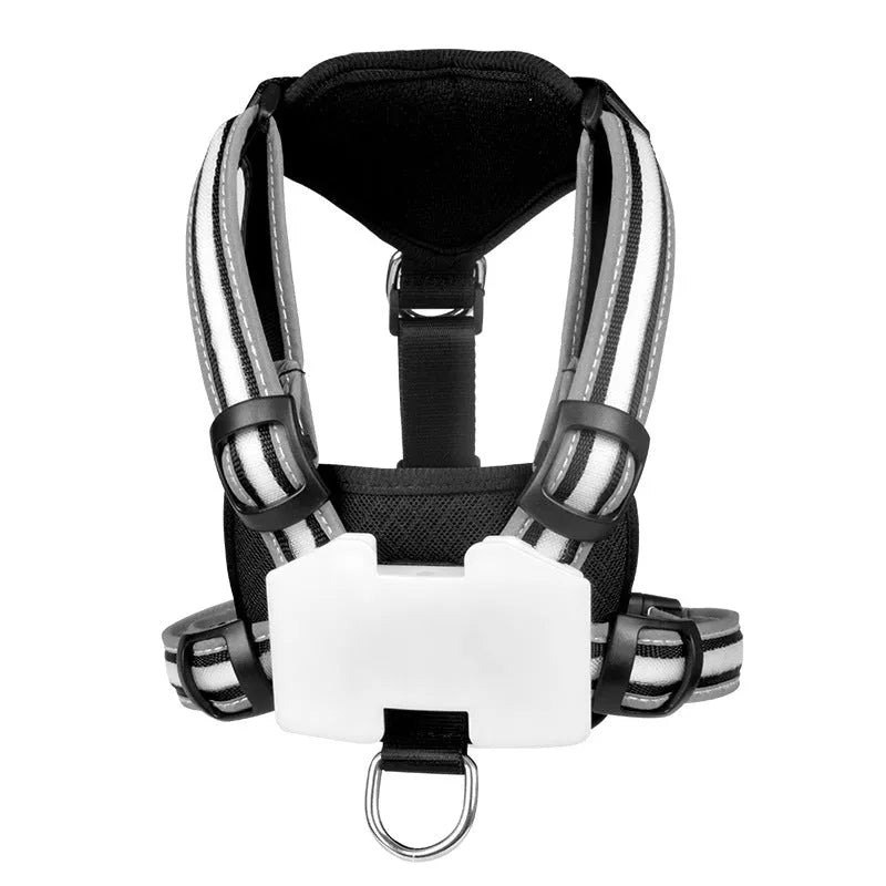 Nylon luminous dog leash with seven-colour LED strap and USB charging cable