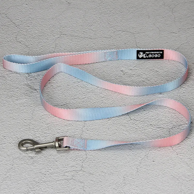 Gradient colour nylon dog leash showing pink-blue colour transition with metal attachment clip