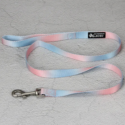 Gradient colour nylon dog leash showing pink-blue colour transition with metal attachment clip