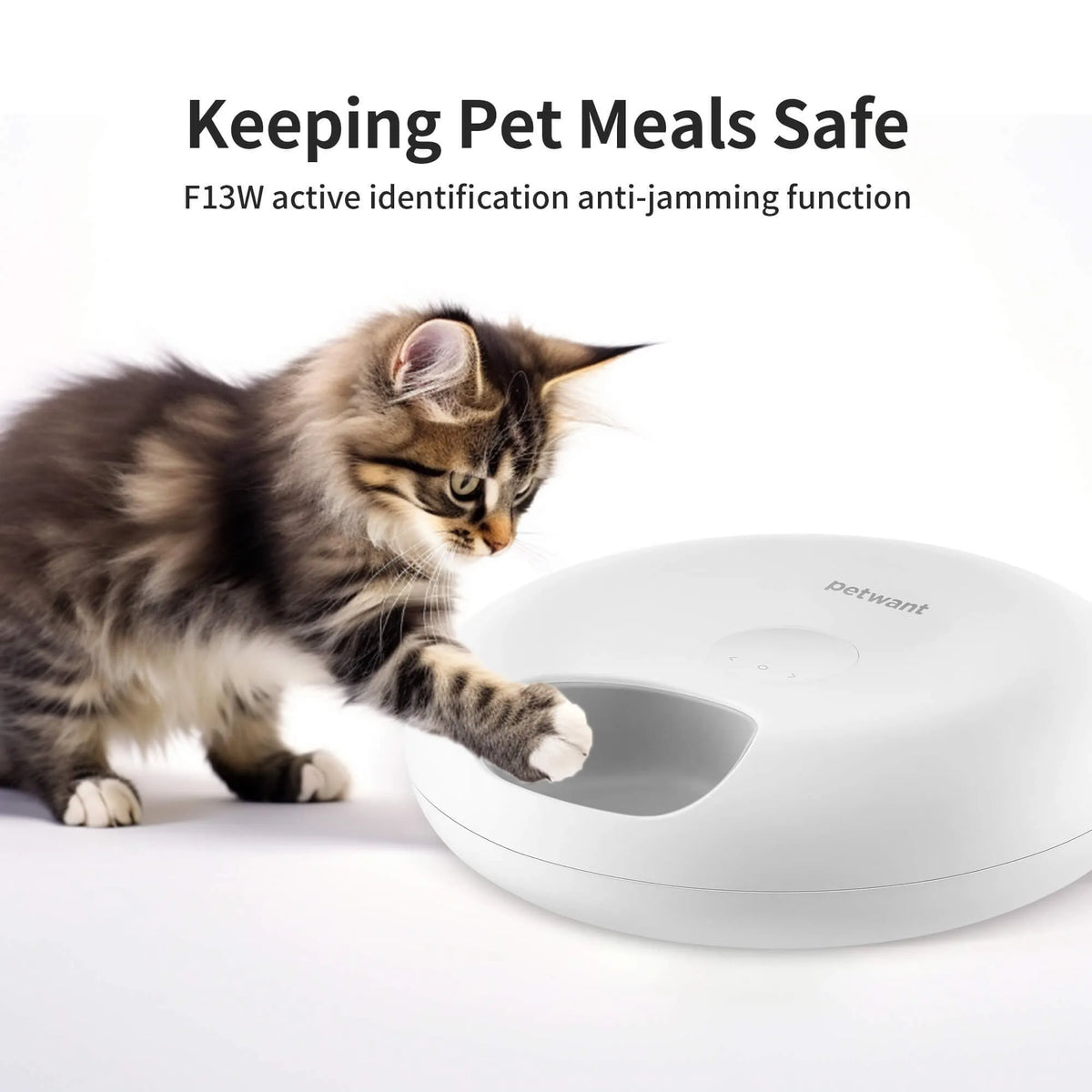 WiFi-enabled automatic pet feeder with app control, six food compartments, and two ice packs.