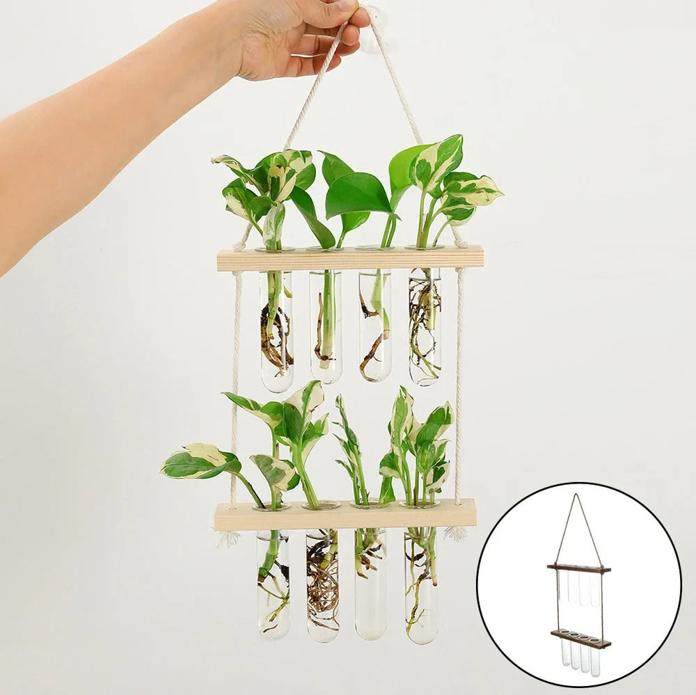 20×40cm double layer wall hanging glass terrarium with test tube plant propagator in retro or wood colour