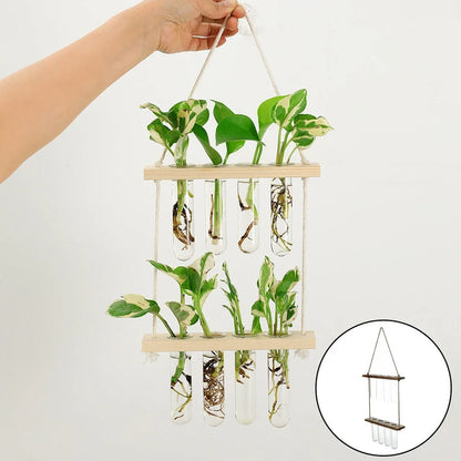 20×40cm double layer wall hanging glass terrarium with test tube plant propagator in retro or wood colour