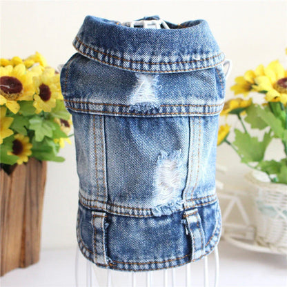 Stylish denim dog jacket with customizable options like hoods, fringes, and patterns for fashionable pet wear