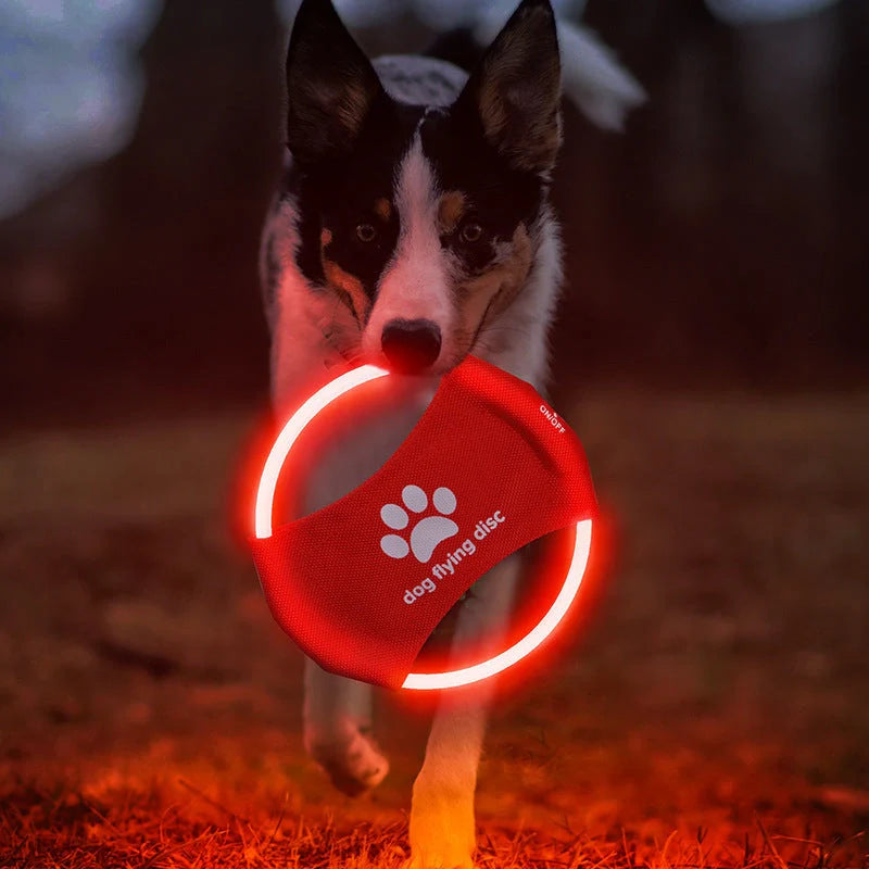 LED glowing dog flying disc in various colors, perfect for night-time play