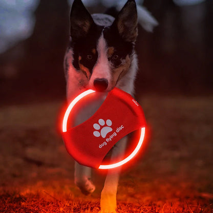 LED glowing dog flying disc in various colors, perfect for night-time play